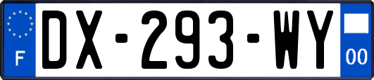 DX-293-WY