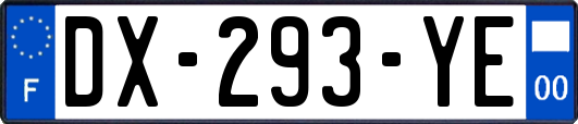 DX-293-YE