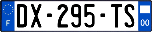 DX-295-TS