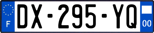 DX-295-YQ
