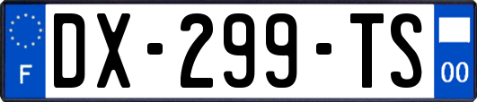 DX-299-TS