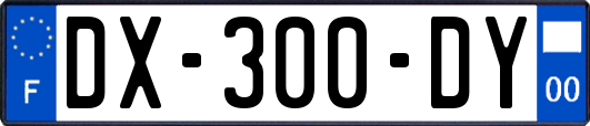 DX-300-DY