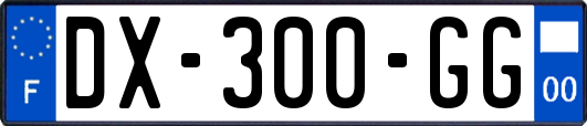 DX-300-GG