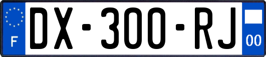 DX-300-RJ