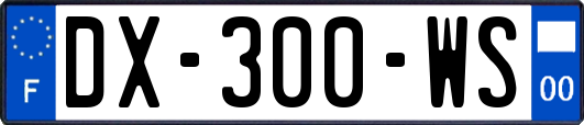 DX-300-WS