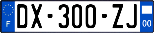 DX-300-ZJ