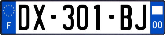 DX-301-BJ