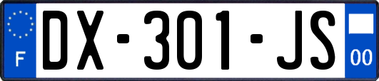 DX-301-JS