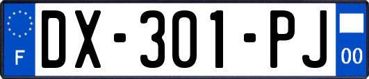 DX-301-PJ