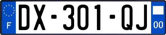 DX-301-QJ