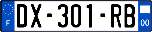 DX-301-RB