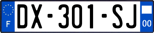 DX-301-SJ