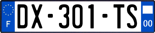DX-301-TS
