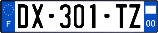 DX-301-TZ