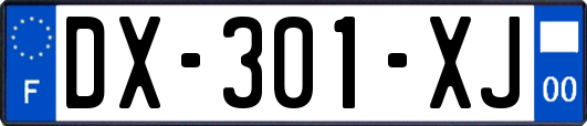 DX-301-XJ