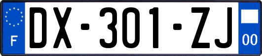 DX-301-ZJ