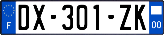 DX-301-ZK