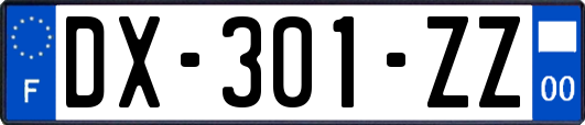 DX-301-ZZ