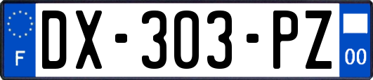 DX-303-PZ