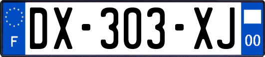 DX-303-XJ