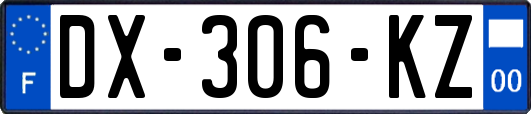 DX-306-KZ