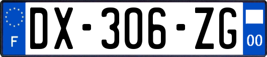 DX-306-ZG