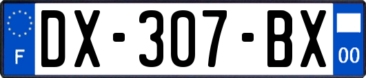 DX-307-BX