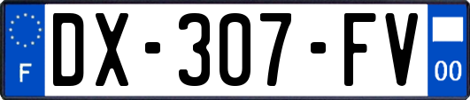 DX-307-FV