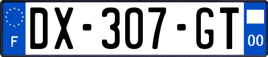 DX-307-GT