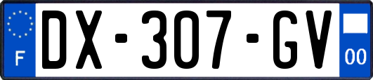 DX-307-GV