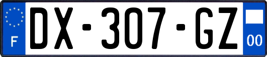 DX-307-GZ