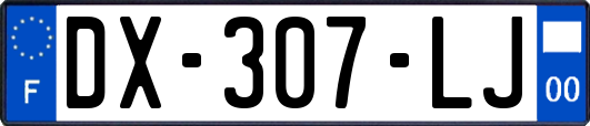 DX-307-LJ