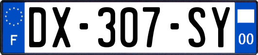 DX-307-SY