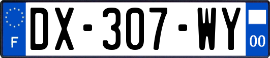 DX-307-WY