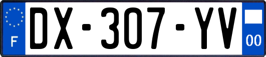 DX-307-YV