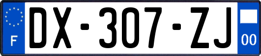 DX-307-ZJ