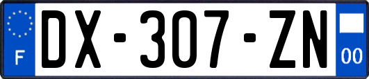 DX-307-ZN