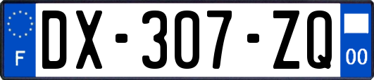 DX-307-ZQ