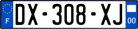 DX-308-XJ