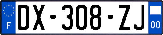 DX-308-ZJ