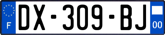 DX-309-BJ