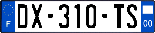 DX-310-TS