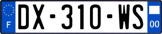 DX-310-WS