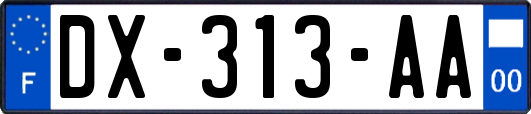 DX-313-AA