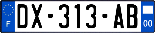 DX-313-AB