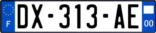 DX-313-AE