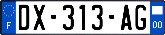 DX-313-AG