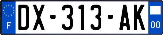 DX-313-AK