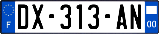 DX-313-AN