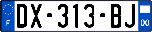 DX-313-BJ